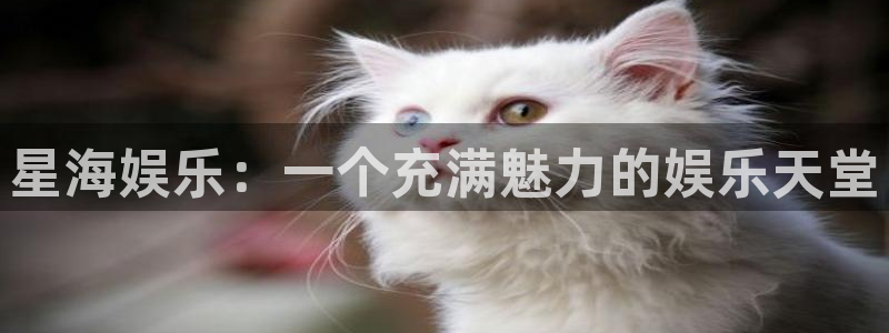 众合官网分红代理计划：星海娱乐：一个充满魅力的娱乐天堂