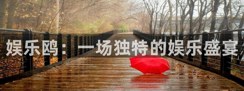 南宫众合官网官网版：娱乐鸥：一场独特的娱乐盛宴