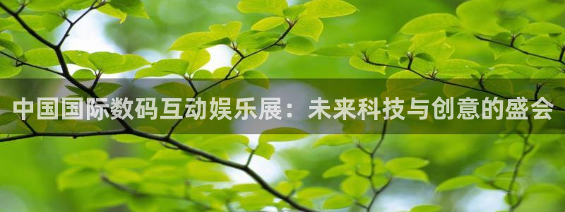 众合官网主管：中国国际数码互动娱乐展：未来科技与创意的盛会