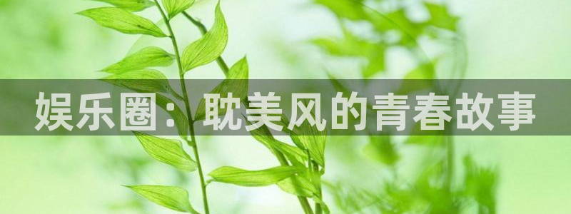 众合官网注册链接：娱乐圈：耽美风的青春故事