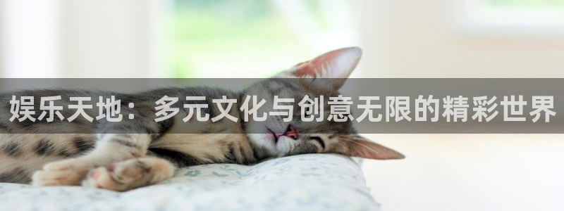 众合官网体育凯捷代理注册：娱乐天地：多元文化与创意无限的精彩世界