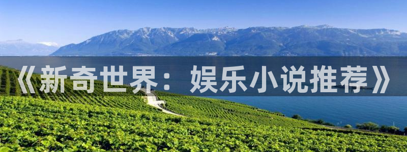 众合官网：《新奇世界：娱乐小说推荐》