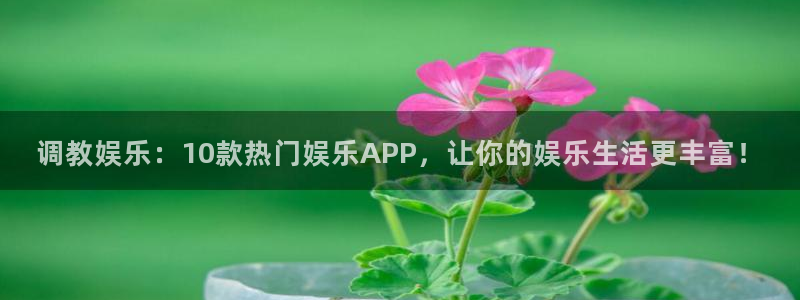 众合官网注册网站：调教娱乐：10款热门娱乐APP，让你的娱乐生活更丰富！