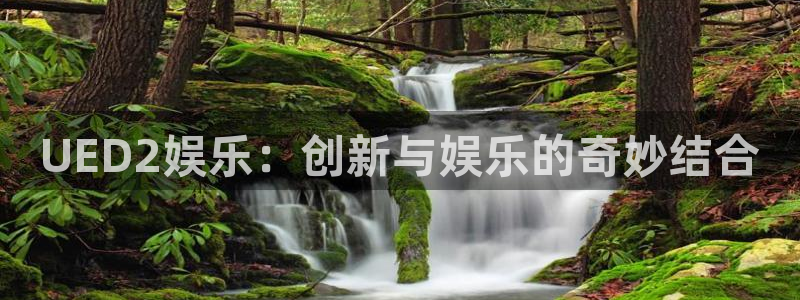 众合官网注册网页版：UED2娱乐：创新与娱乐的奇妙结合