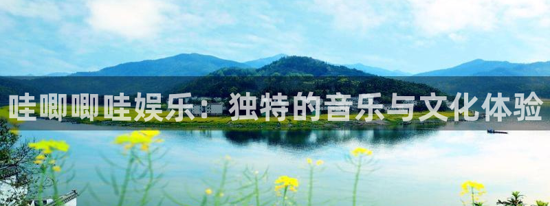 众合官网k：哇唧唧哇娱乐：独特的音乐与文化体验