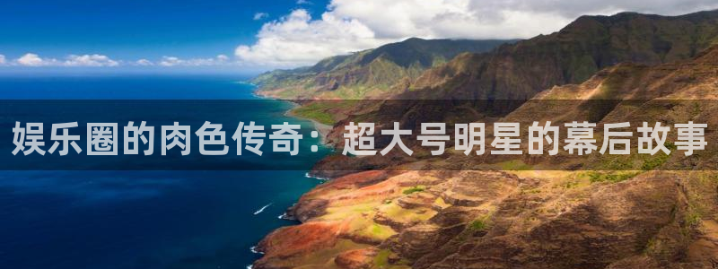 众合官网主管：娱乐圈的肉色传奇：超大号明星的幕后故事