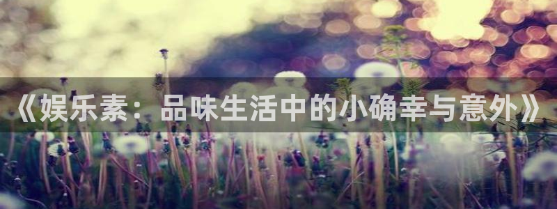 众合官网平台注册账号：《娱乐素：品味生活中的小确幸与意外》