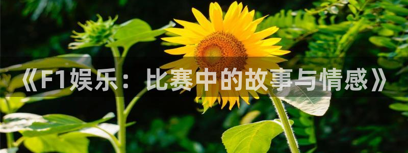 众合官网4开户