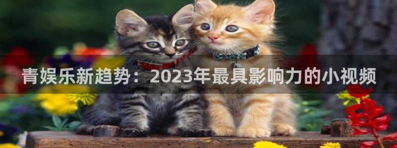 众合官网预测在线预测：青娱乐新趋势：2023年最具影响力的小视频